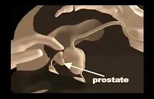 XXX Groß ältere damen pornos